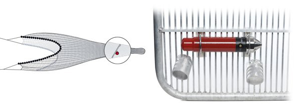 Notus ECHO 6